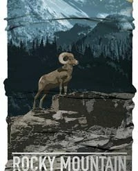 Buff Inc Buff CoolNet UV+ Adult