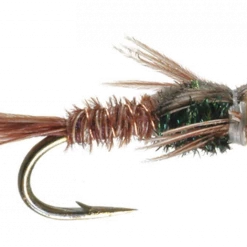 Umpqua Flies Tungsten Pheasant Tail